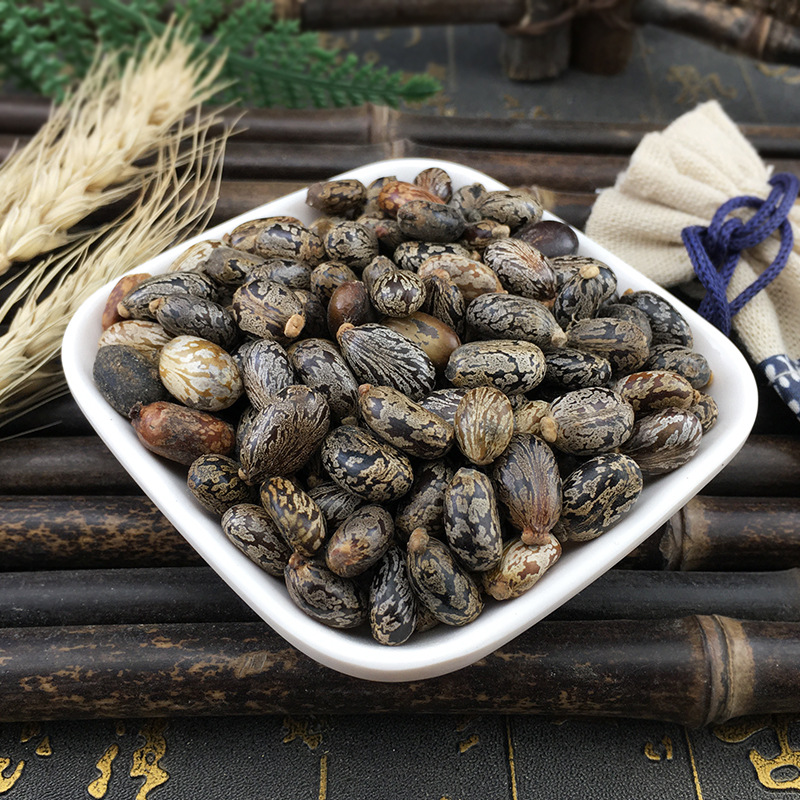Castor Seeds Bi Ma Zi Dried Ricinus Communis Bulk Herbal Seeds 500g - Image 3