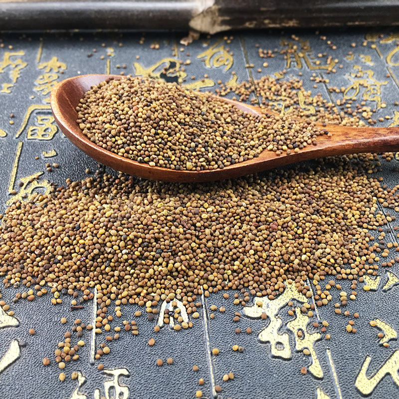 Dried Cuscuta Seeds Tu Si Zi Whole Herb Bulk 500g Water Washed Traditional Chinese Botanical - Image 3