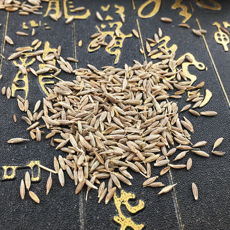Cumin Seeds Zi Ran Whole Dried Spice 500g Bag for BBQ Grilling and Kitchen Cooking - Image 4