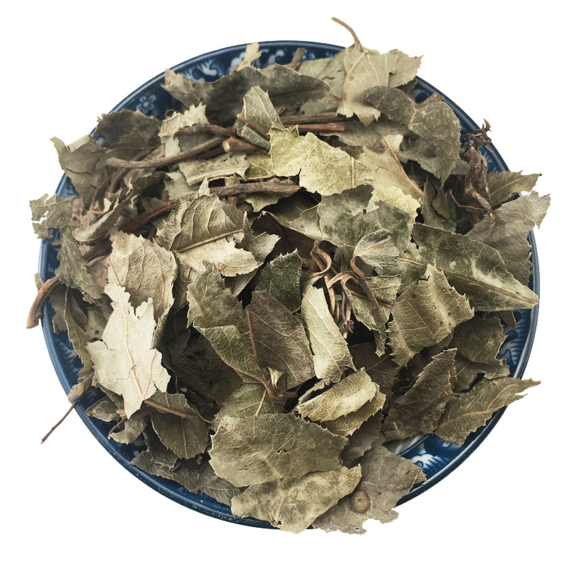 Dried Ardisia Herb Ping Di Mu Whole Herb Traditional TCM Botanical 1kg - Image 5