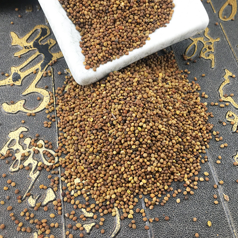 Dried Cuscuta Seeds Tu Si Zi Whole Herb Bulk 500g Water Washed Traditional Chinese Botanical - Image 4