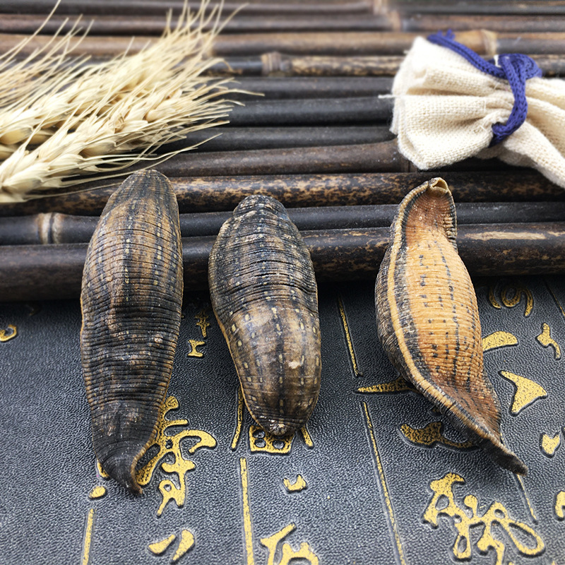 Dried Leech Shui Zhi 水蛭 Whole Dried Hirudo Nipponica Traditional Chinese Herb 500g - Image 4