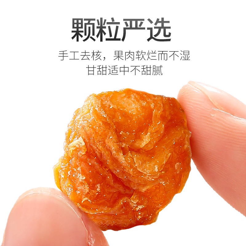 Dried Longan Meat Seedless Guiyuan Rou 168g Jar for Tea and Soup - Image 3