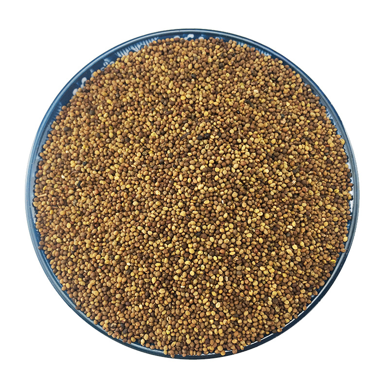 Dried Cuscuta Seeds Tu Si Zi Whole Herb Bulk 500g Water Washed Traditional Chinese Botanical - Image 5