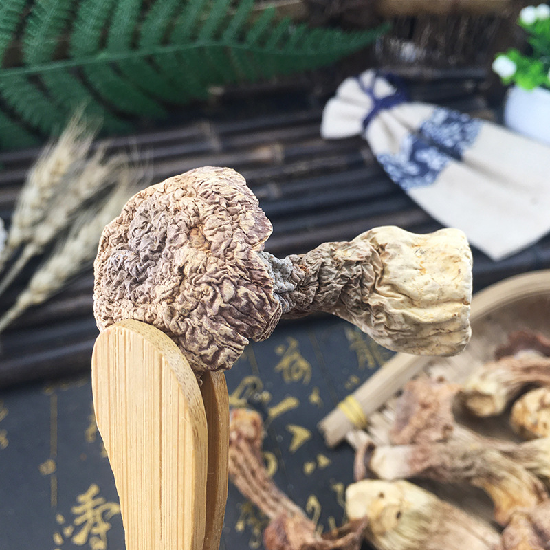 Dried Agaricus Blazei Mushrooms Ji Song Rong Whole Dried Culinary Mushroom for Soups and Broths - Image 4