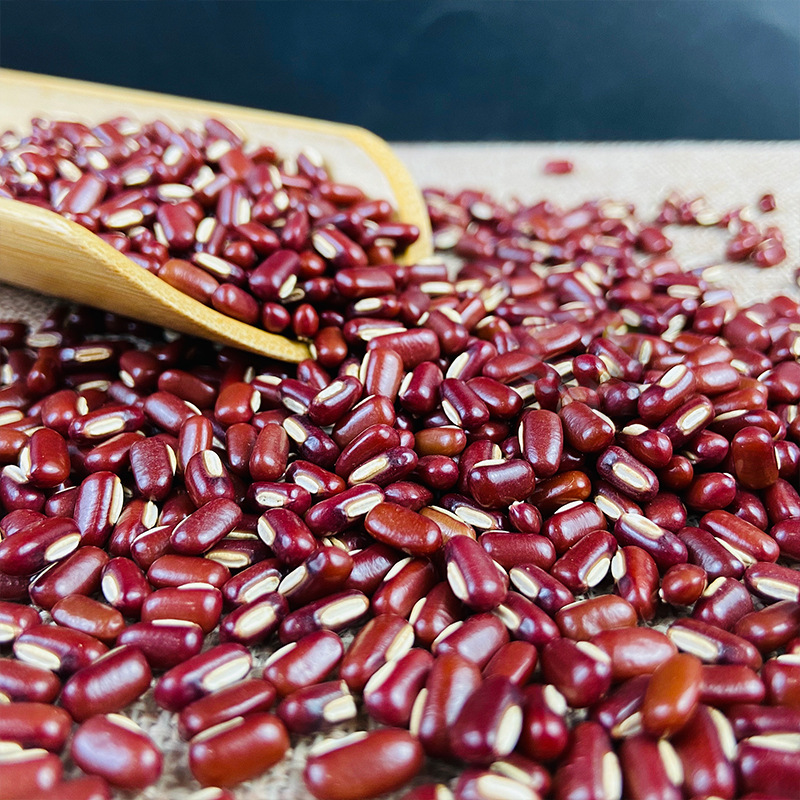 Roasted Adzuki Bean Chi Xiao Dou 500g Low Temperature Baked Red Bean for Cooking and Grinding - Image 2