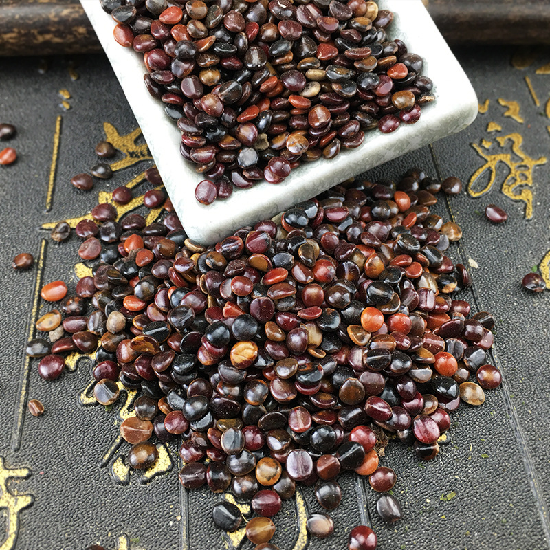Zhi Ju Zi Dried Hovenia Dulcis Seeds Bulk Herbal Tea Ingredients 500g - Image 4