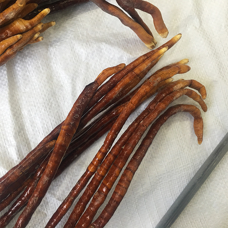 Ling Zhi Cao Dried Ganoderma Herb Whole Pieces for Tea Wine Infusion and Decoction 500g - Image 4
