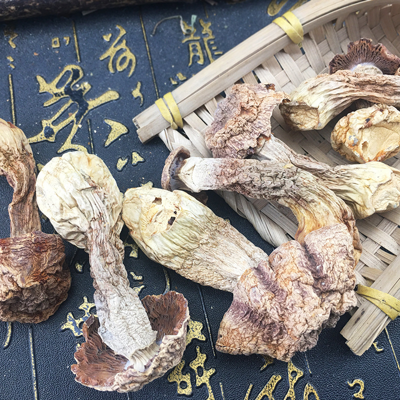 Dried Agaricus Blazei Mushrooms Ji Song Rong Whole Dried Culinary Mushroom for Soups and Broths - Image 3