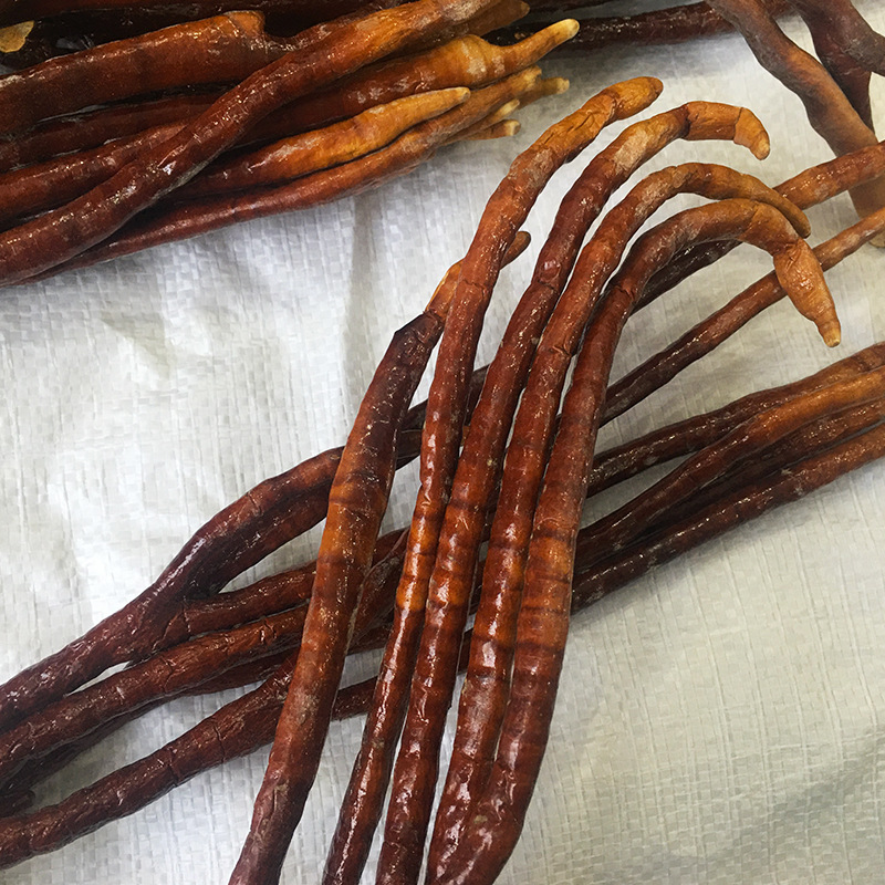 Ling Zhi Cao Dried Ganoderma Herb Whole Pieces for Tea Wine Infusion and Decoction 500g - Image 2