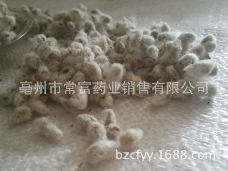 Cotton Seed Mian Zi 500g Dried Whole Seeds for Culinary and Traditional Herbal Use - Image 4