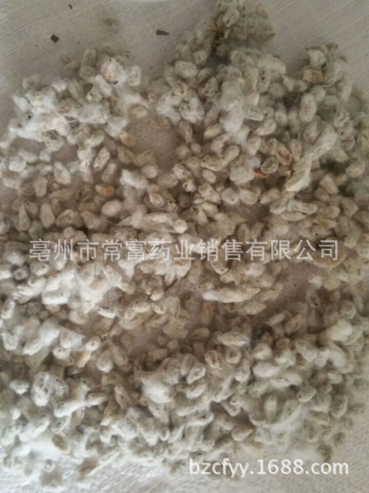 Cotton Seed Mian Zi 500g Dried Whole Seeds for Culinary and Traditional Herbal Use - Image 3