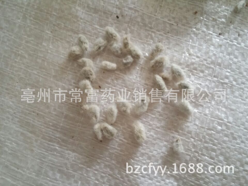 Cotton Seed Mian Zi 500g Dried Whole Seeds for Culinary and Traditional Herbal Use - Image 2