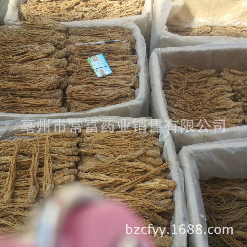 Dried Angelica Sinensis Slices Dang Gui Whole Root TCM Herbal Decoction Ingredient 500g - Image 3