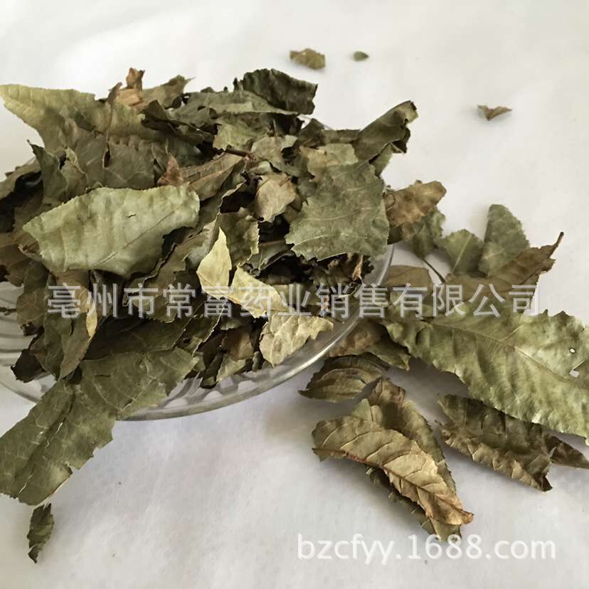 Cyclocarya Pilius Qing Qian Liu Whole Leaf Tea 500g Fujian Origin - Image 2