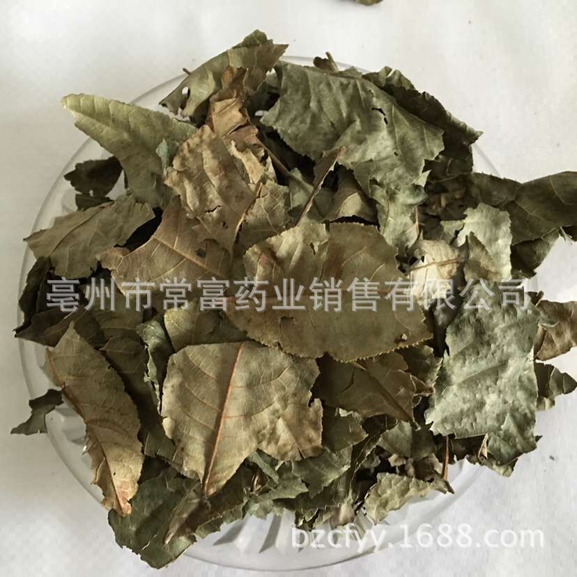 Cyclocarya Pilius Qing Qian Liu Whole Leaf Tea 500g Fujian Origin - Image 3