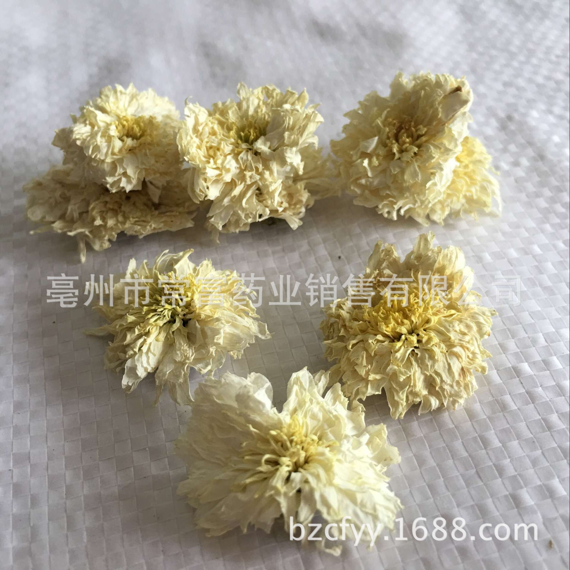 Huangshan Gongju Chrysanthemum Tea Dried Gong Ju Flowers 500g Loose Herbal Tea for Brewing - Image 2