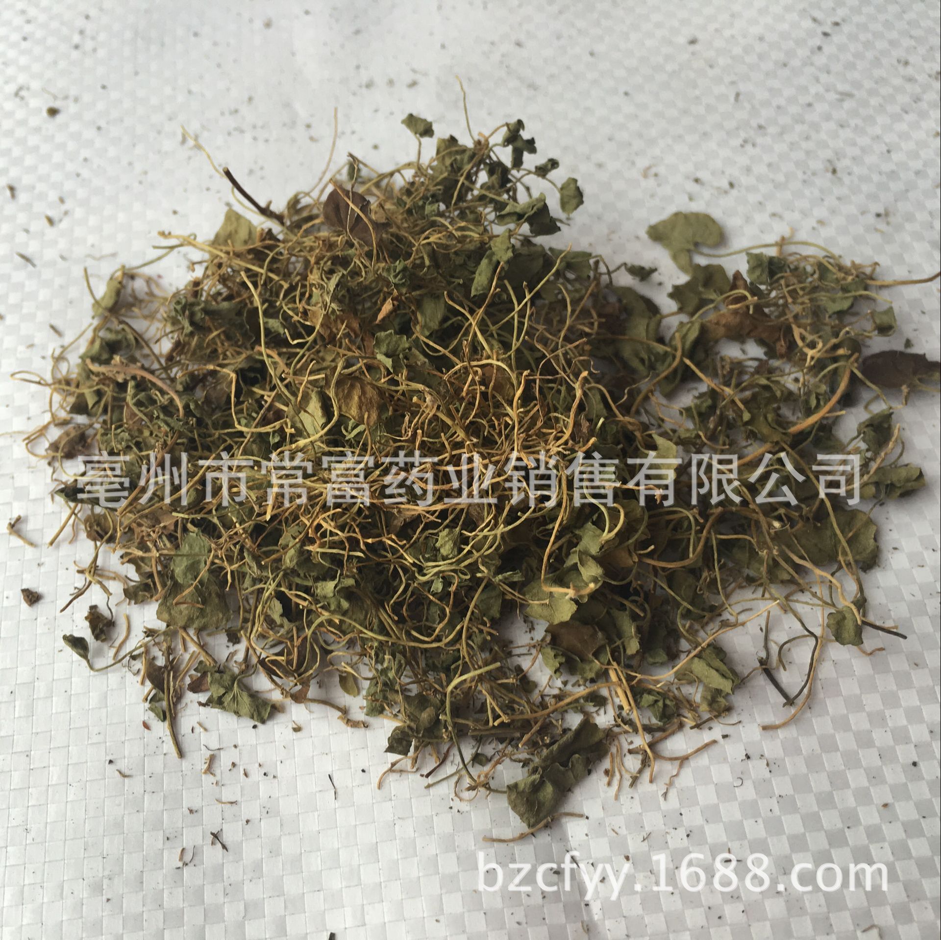 Dried Dichondra Herb Ma Ti Jin 500g Traditional Chinese Herbal Tea Ingredient - Image 5