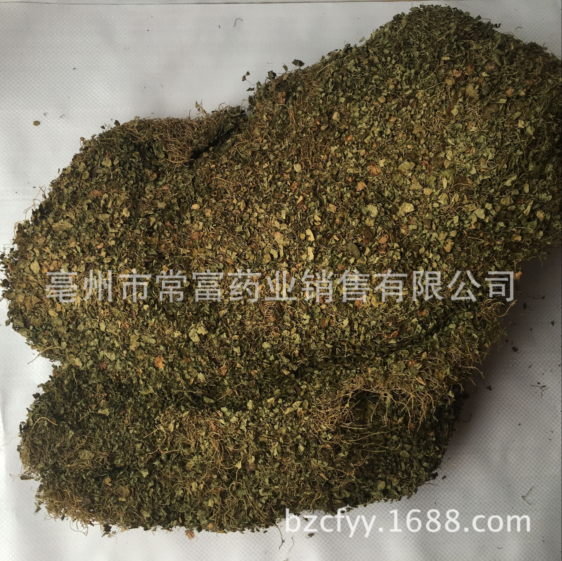 Dried Dichondra Herb Ma Ti Jin 500g Traditional Chinese Herbal Tea Ingredient - Image 4