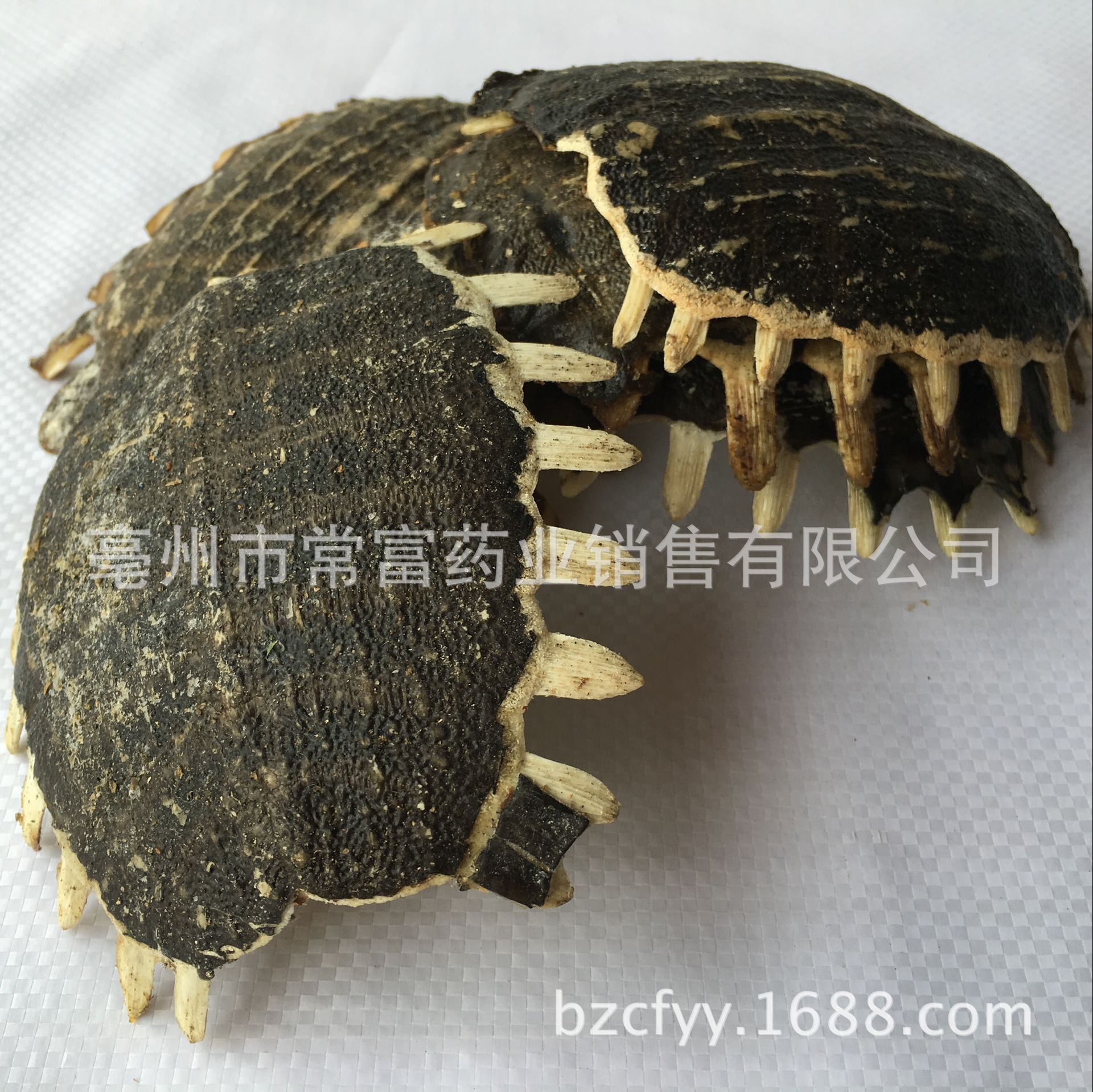 Dried Turtle Shell Bie Jia 500g Traditional Chinese Herb for Culinary Decoction Use - Image 3