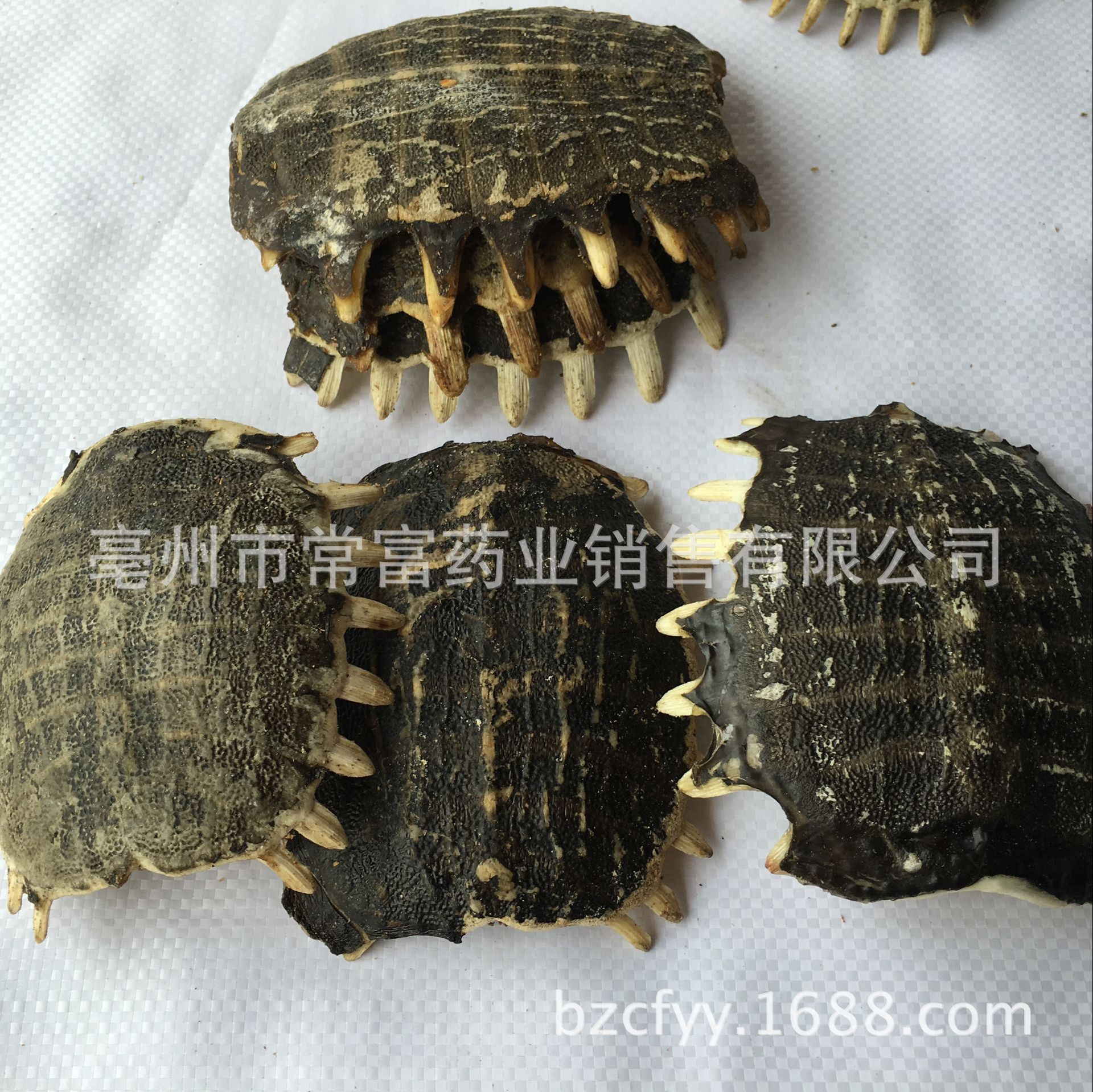 Dried Turtle Shell Bie Jia 500g Traditional Chinese Herb for Culinary Decoction Use - Image 2