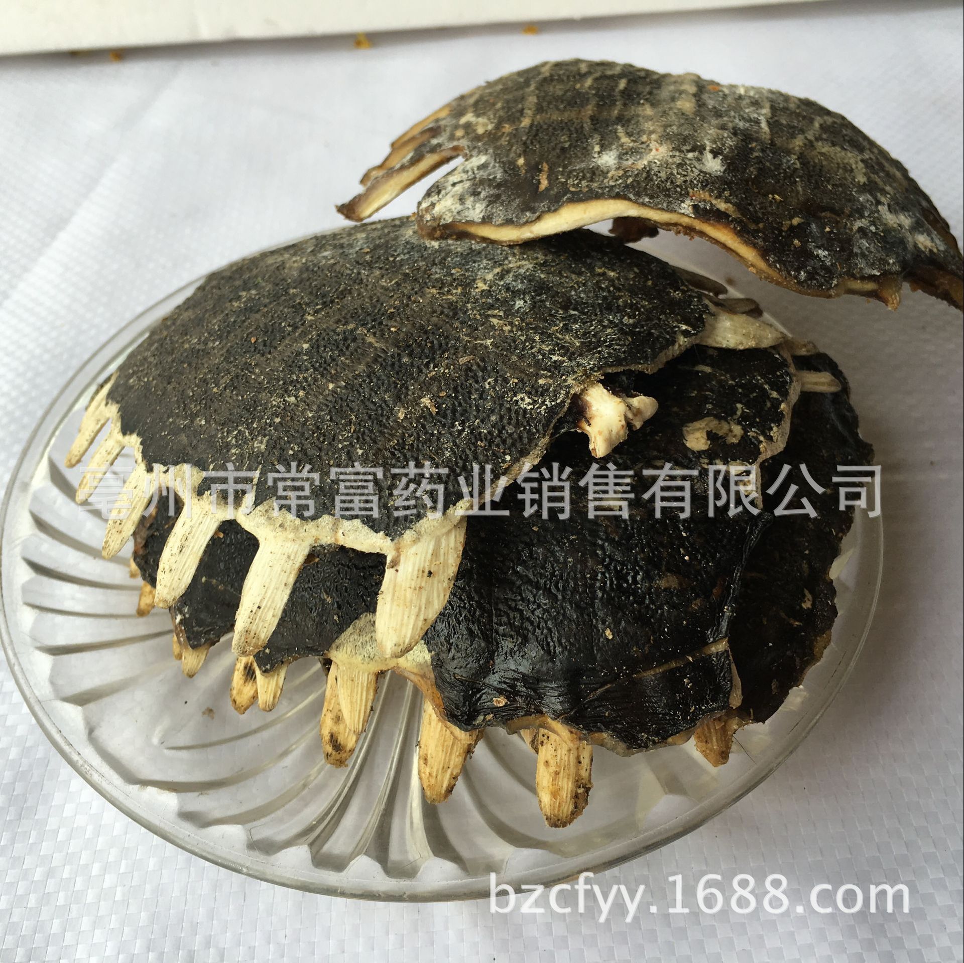 Dried Turtle Shell Bie Jia 500g Traditional Chinese Herb for Culinary Decoction Use - Image 4
