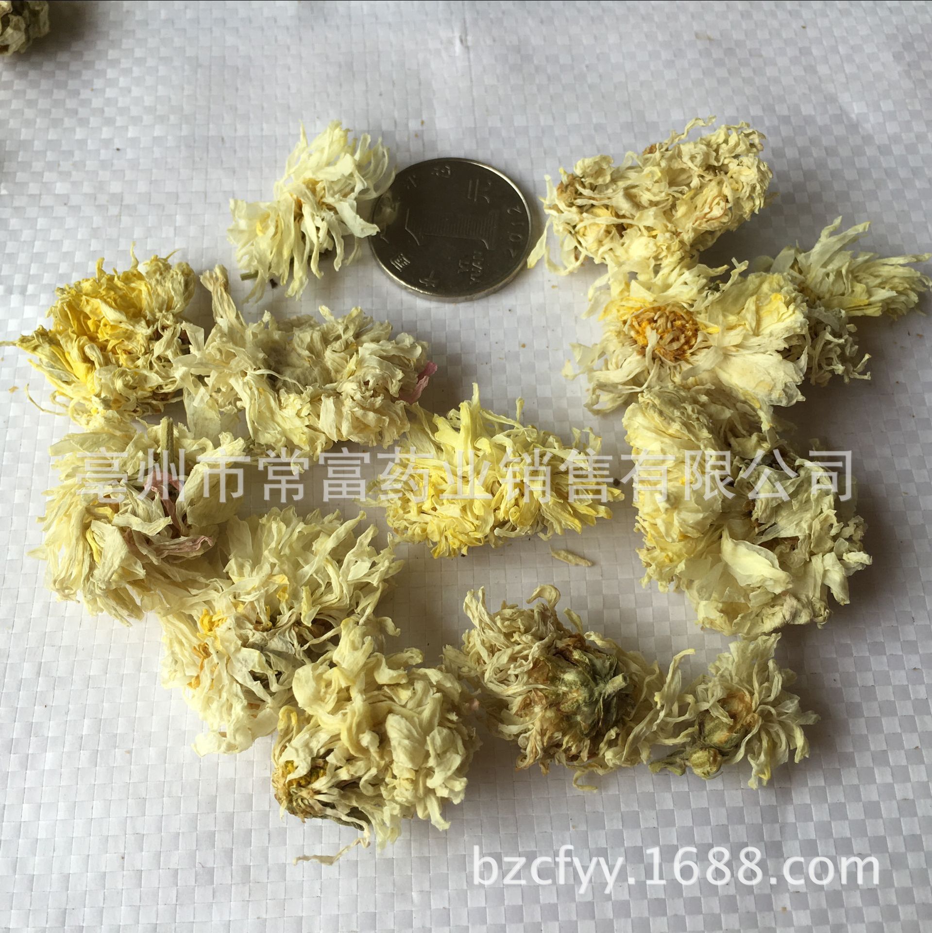 Bo Chrysanthemum Flower Bo Ju Hua Dried Whole Flowers for Tea and Culinary Use 500g Natural Sun Dried Bulk - Image 3