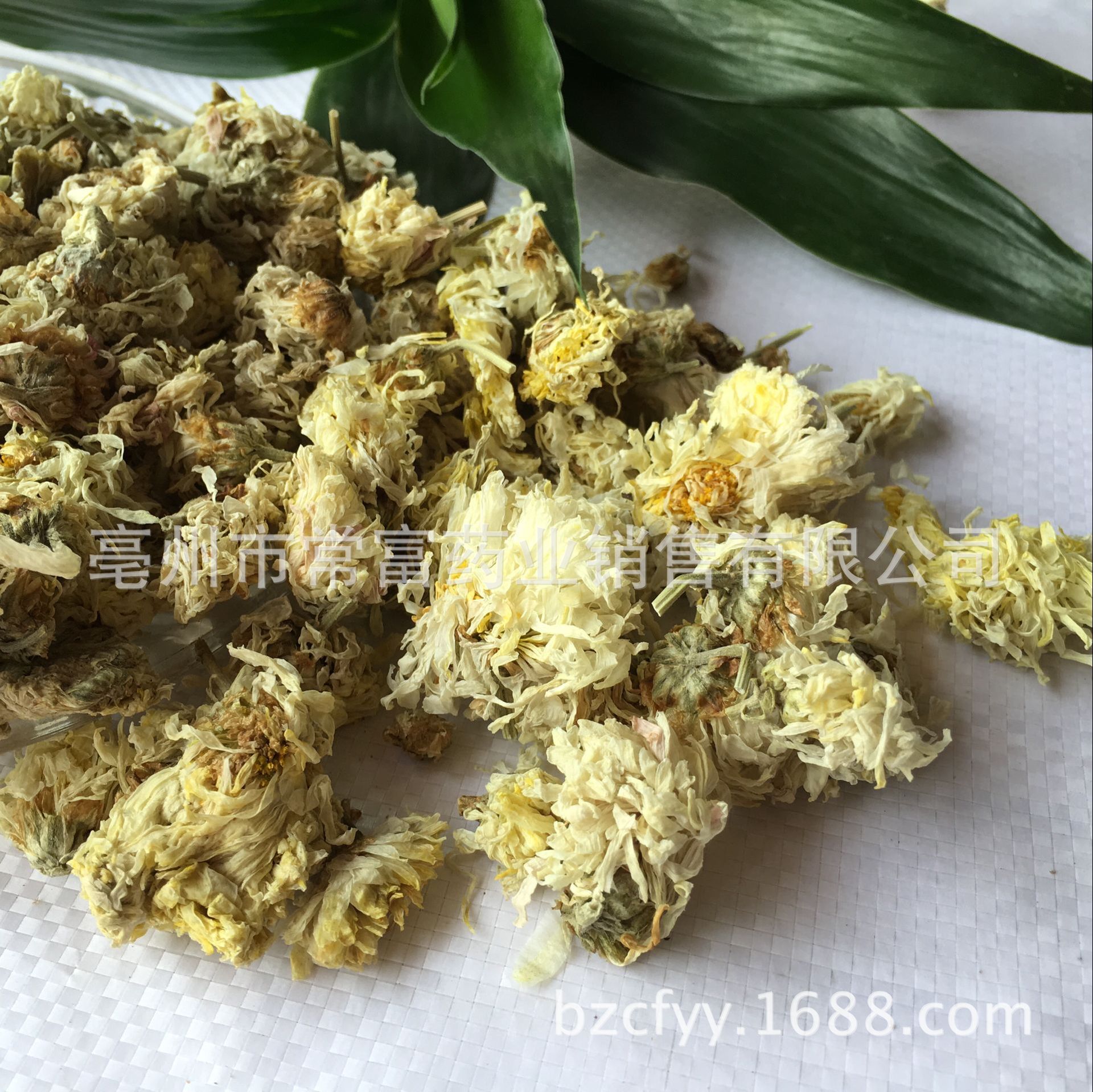Bo Chrysanthemum Flower Bo Ju Hua Dried Whole Flowers for Tea and Culinary Use 500g Natural Sun Dried Bulk - Image 4