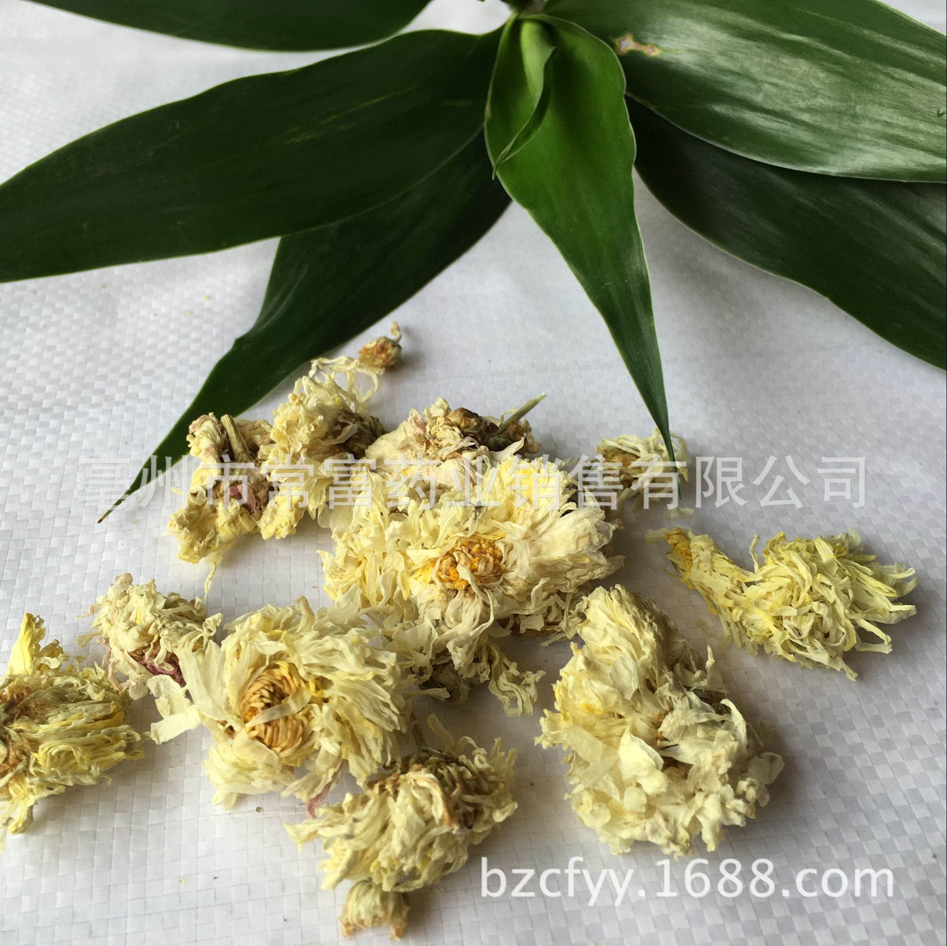 Bo Chrysanthemum Flower Bo Ju Hua Dried Whole Flowers for Tea and Culinary Use 500g Natural Sun Dried Bulk - Image 2