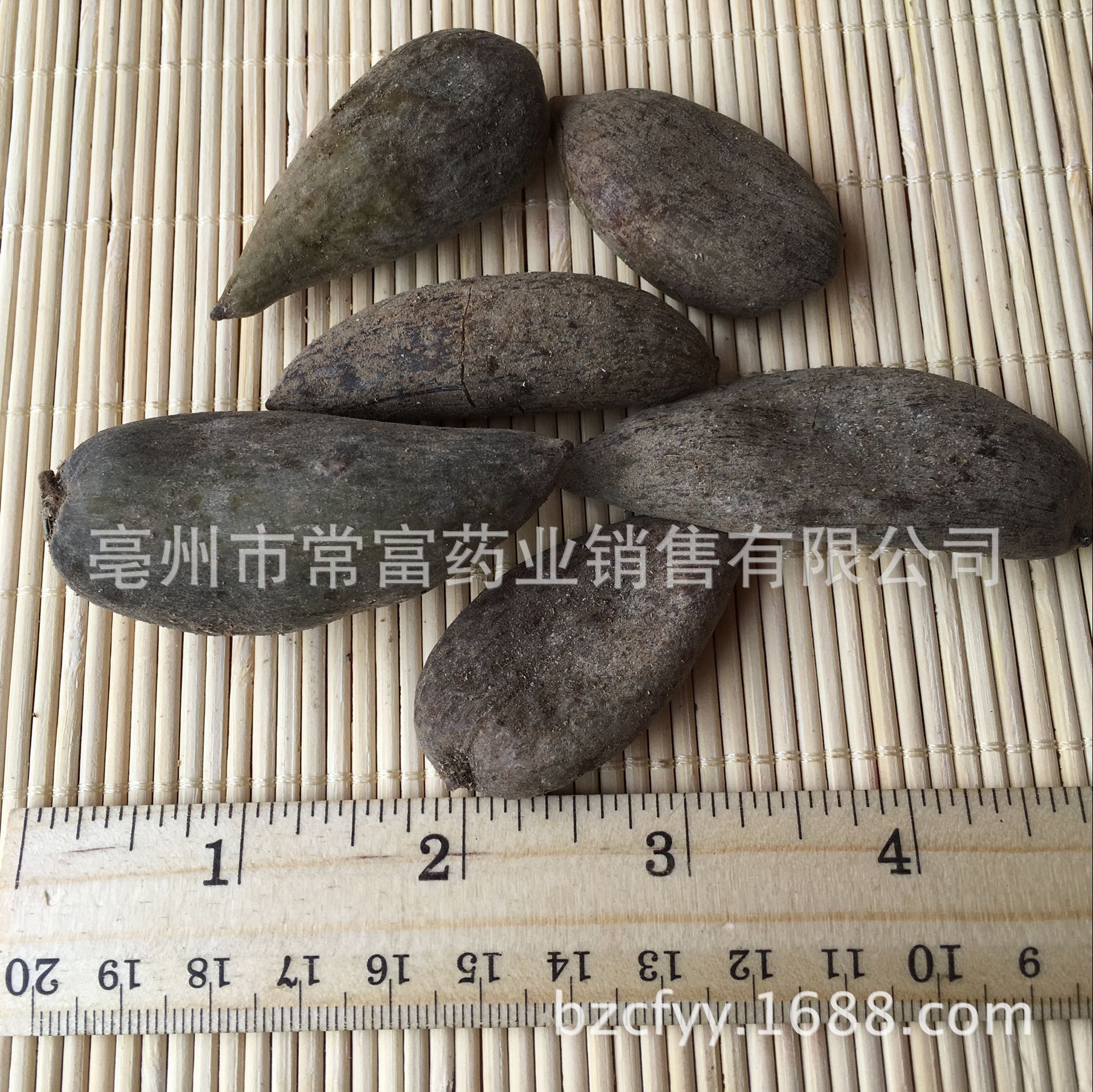 Chinese Gall Wuzhizi 五倍子 Dried Herb 500g Traditional TCM Decoction Ingredient Hunan Origin - Image 2