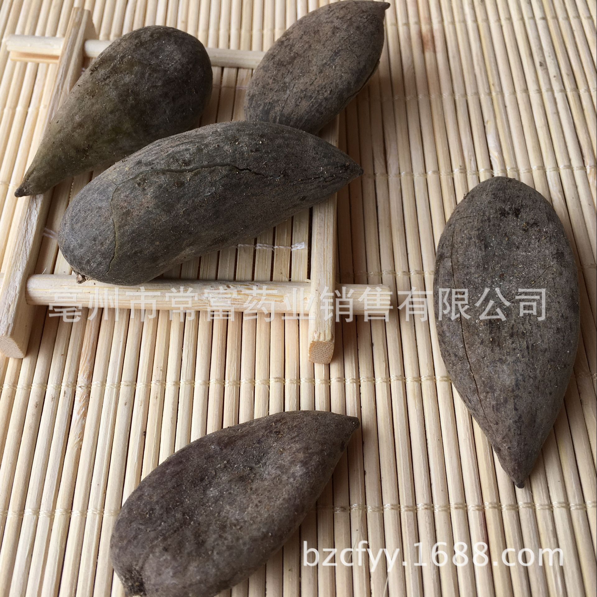 Chinese Gall Wuzhizi 五倍子 Dried Herb 500g Traditional TCM Decoction Ingredient Hunan Origin - Image 3