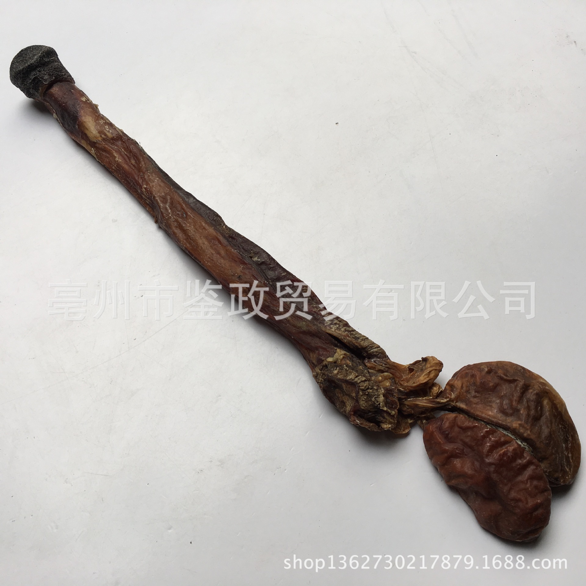 Dried Donkey Penis with Testicles Lu Bian Whole Piece Traditional Tonic Ingredient for Wine Infusion - Image 2