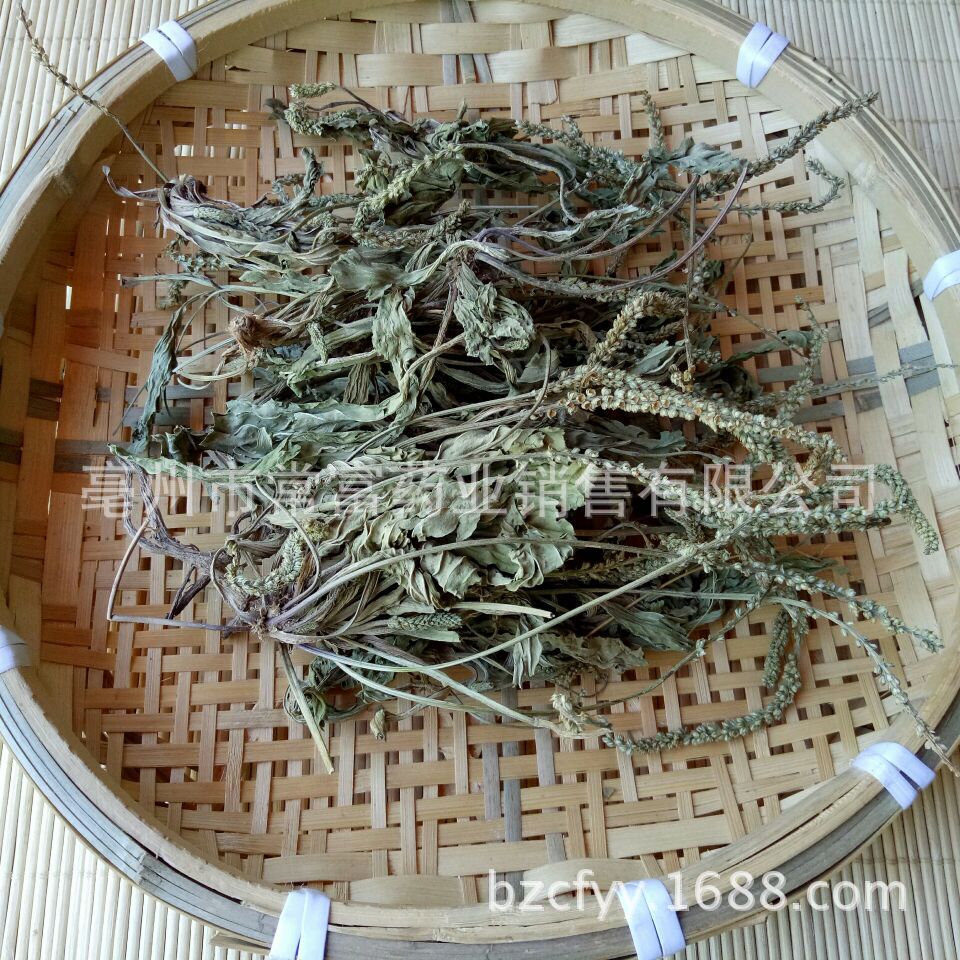 Dried Plantain Herb Che Qian Cao Whole Plant Loose Herbal Tea 500g - Image 3