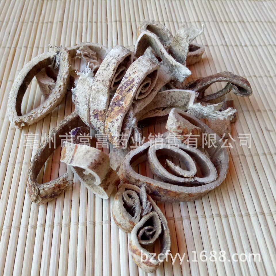 Dried Mulberry Root Bark Sang Bai Pi Sliced Bulk Herb 500g - Image 3