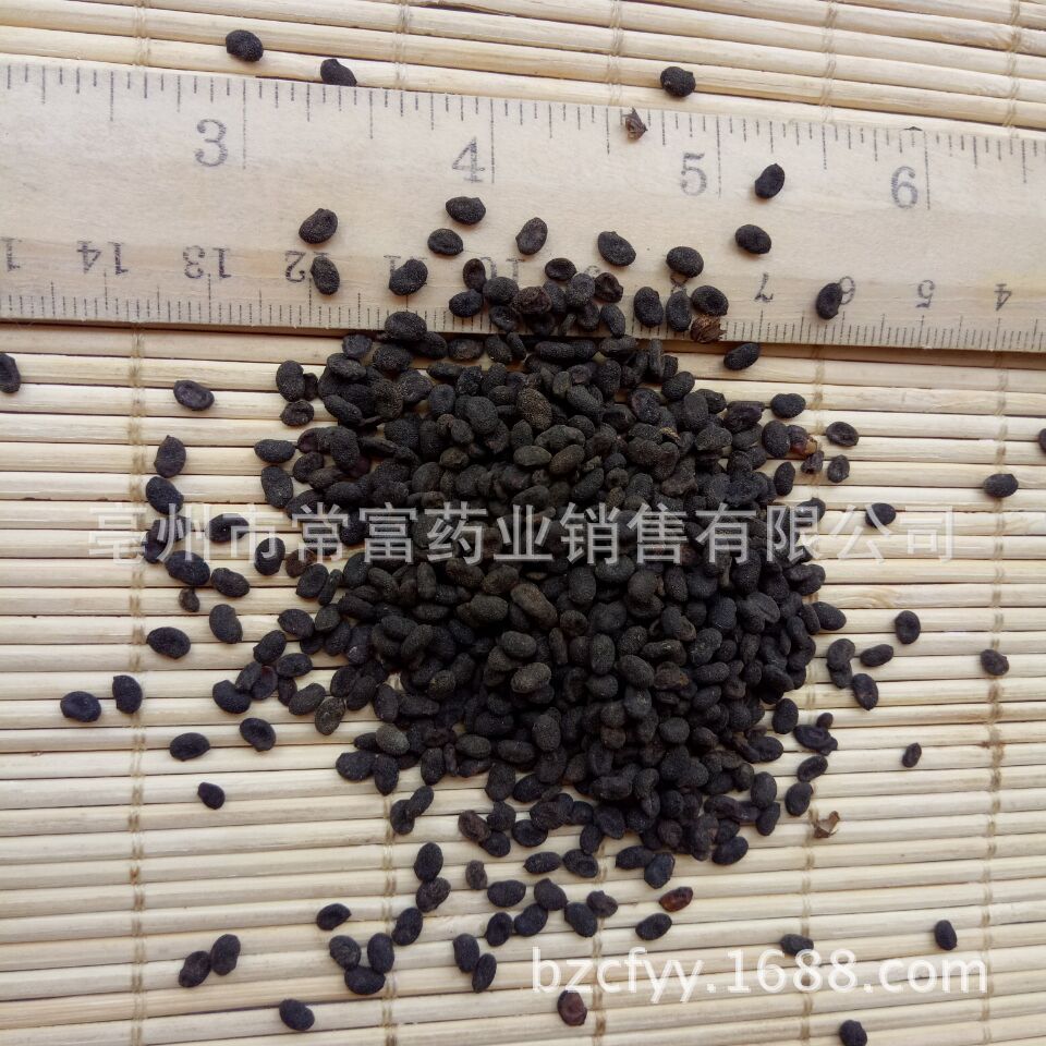 Psoralea Fruit Bu Gu Zhi Dried Whole Seeds 500g Traditional Chinese Herb from Yunnan - Image 4
