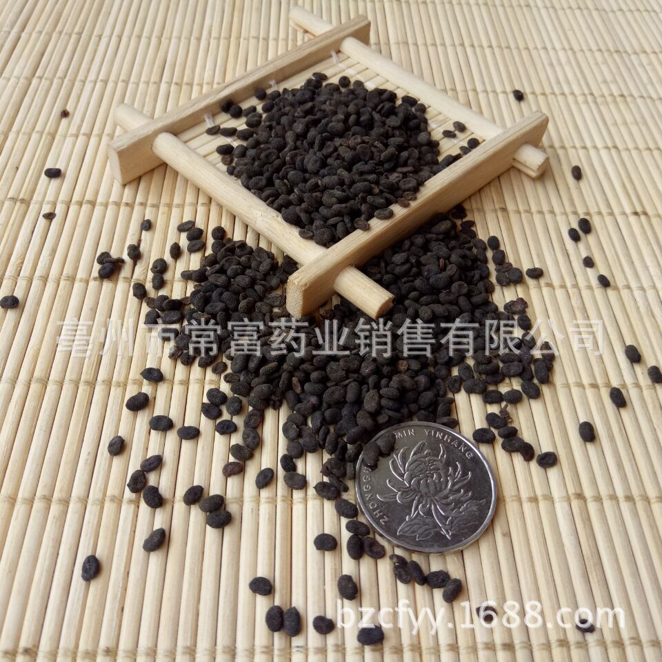 Psoralea Fruit Bu Gu Zhi Dried Whole Seeds 500g Traditional Chinese Herb from Yunnan - Image 2