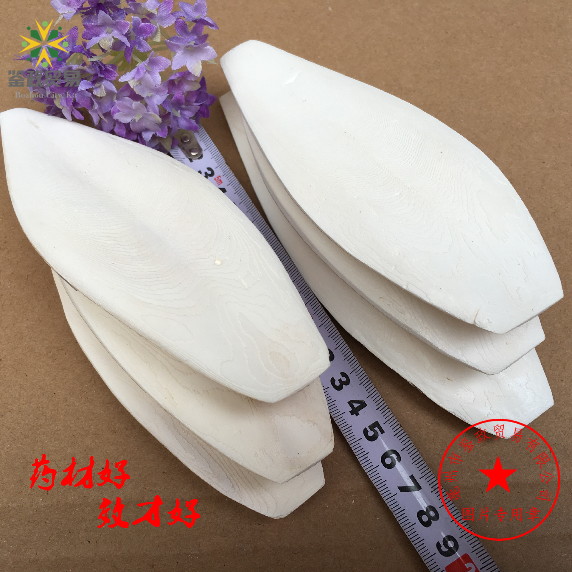 Dried Cuttlebone Hai Piao Xiao 海螵蛸 Whole Cuttlefish Bone 20-25cm Natural Pet Chew and Herbal Material - Image 4