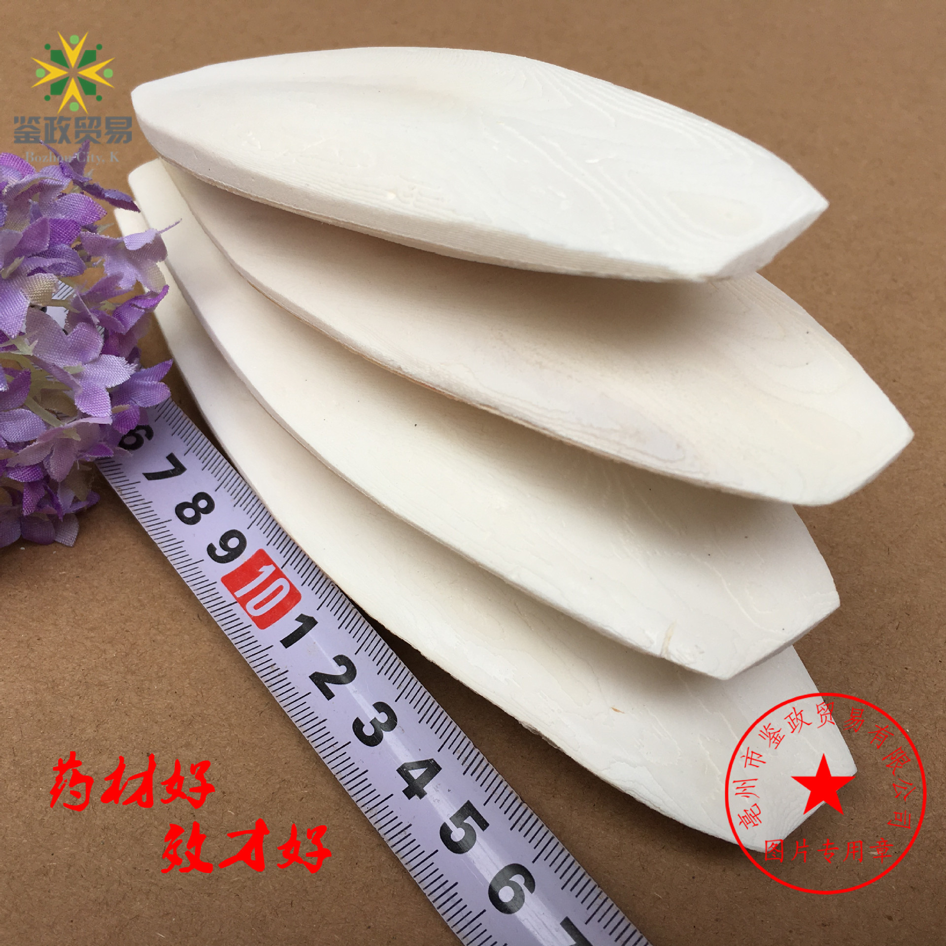Dried Cuttlebone Hai Piao Xiao 海螵蛸 Whole Cuttlefish Bone 20-25cm Natural Pet Chew and Herbal Material - Image 3