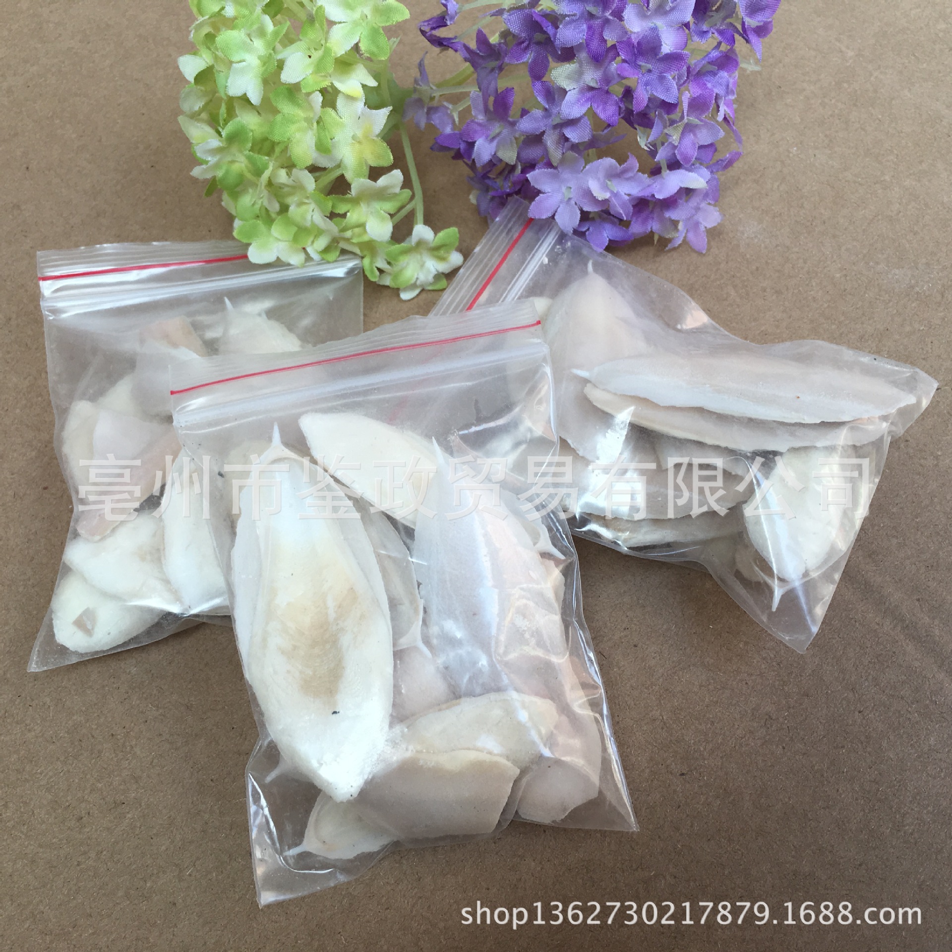 Cuttlefish Bone Hai Piao Xiao 海螵蛸 Dried Sepia Bone Pet Chew and TCM Herb Bulk Bag - Image 5