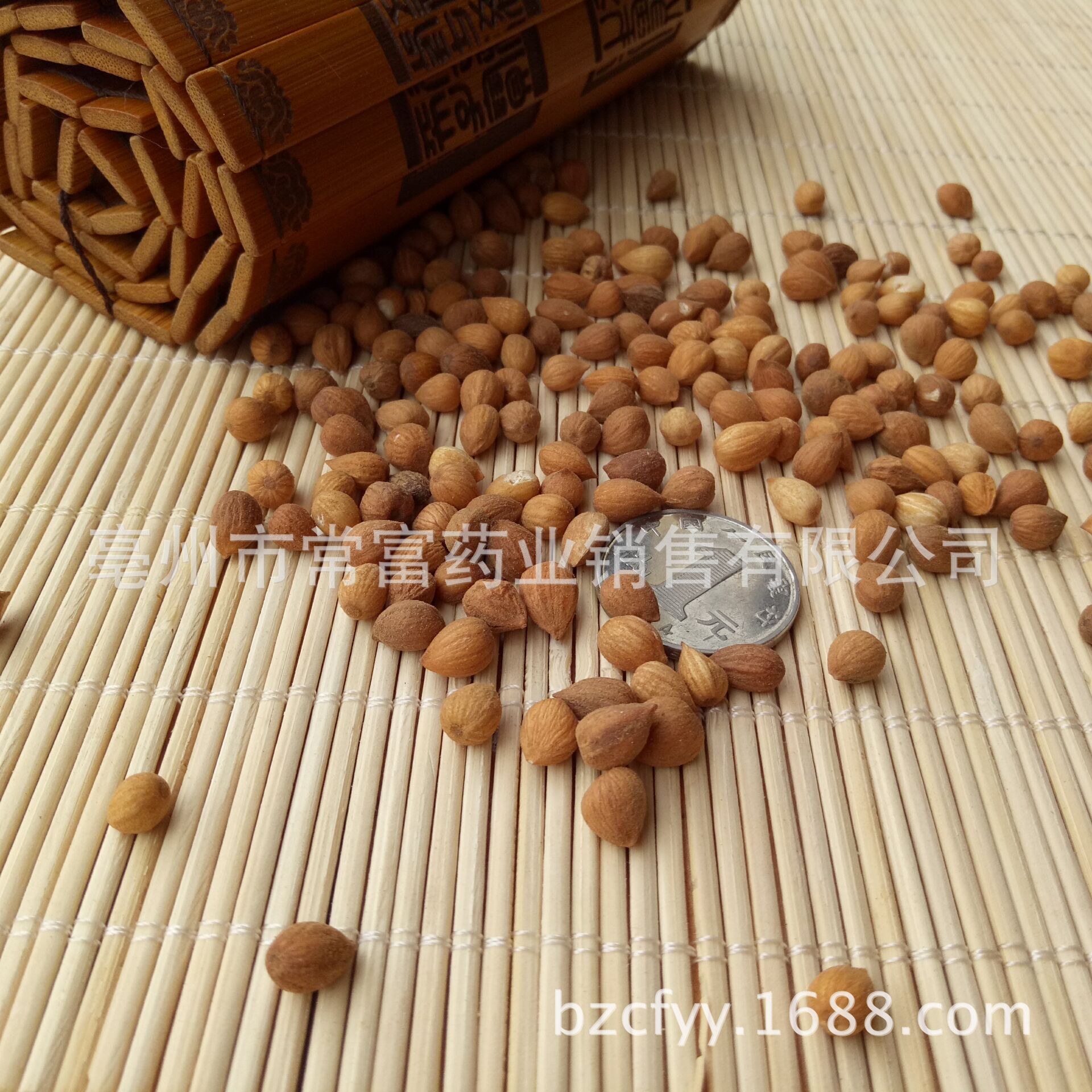 Chinese Bush Cherry Seed Yu Li Ren Prunus humilis Dried Herbal Seeds 500g for Culinary and Decoction Use - Image 4