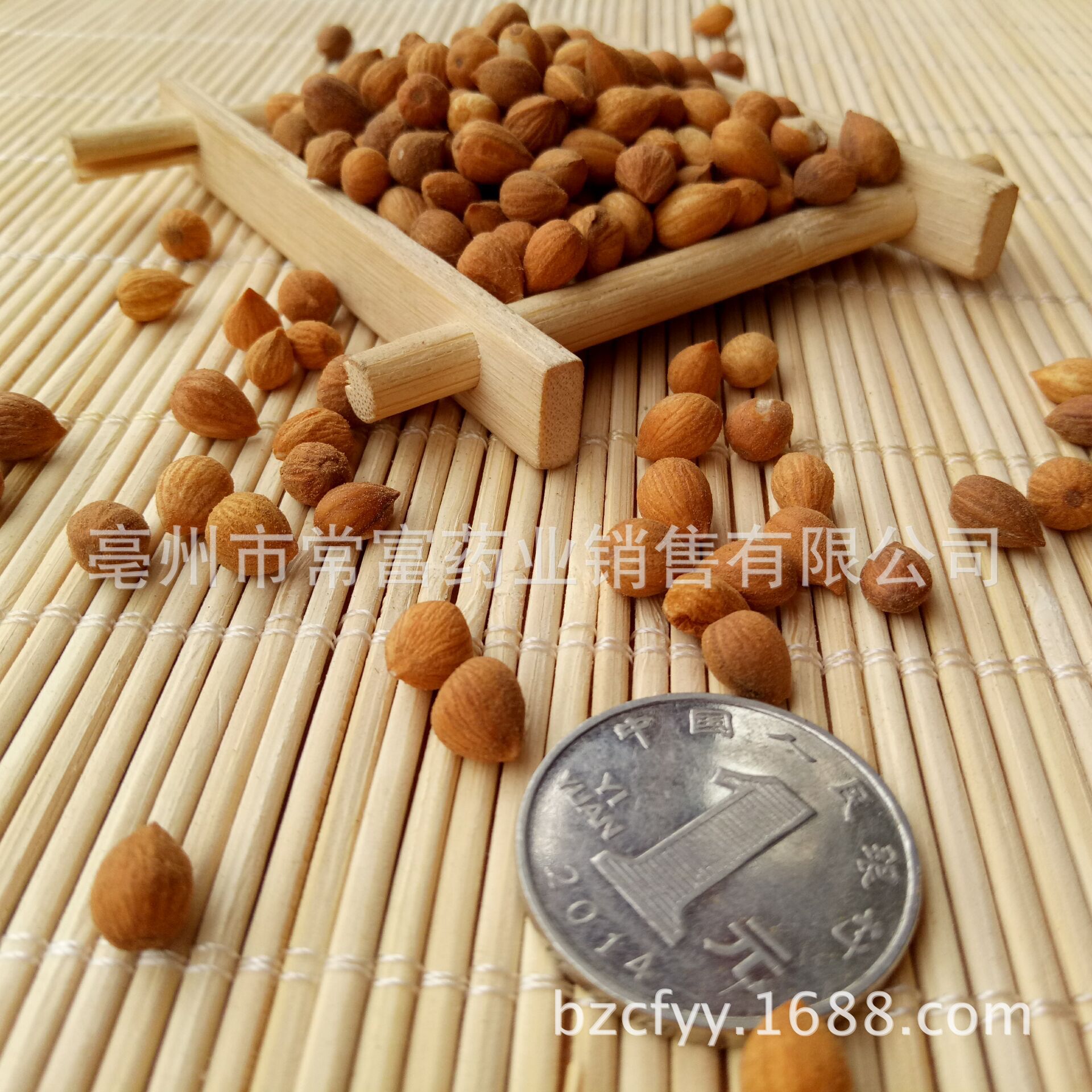 Chinese Bush Cherry Seed Yu Li Ren Prunus humilis Dried Herbal Seeds 500g for Culinary and Decoction Use - Image 3