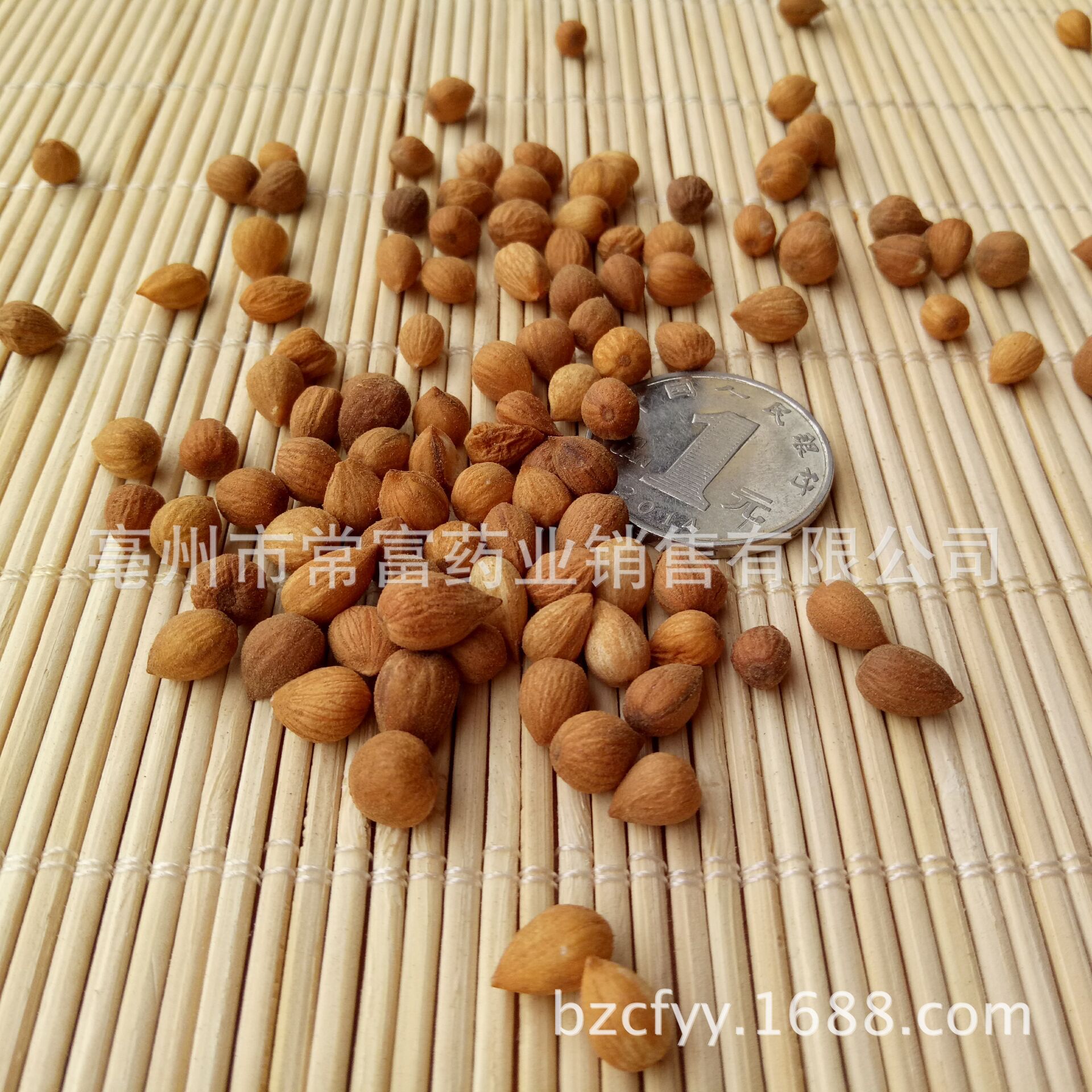 Chinese Bush Cherry Seed Yu Li Ren Prunus humilis Dried Herbal Seeds 500g for Culinary and Decoction Use - Image 2