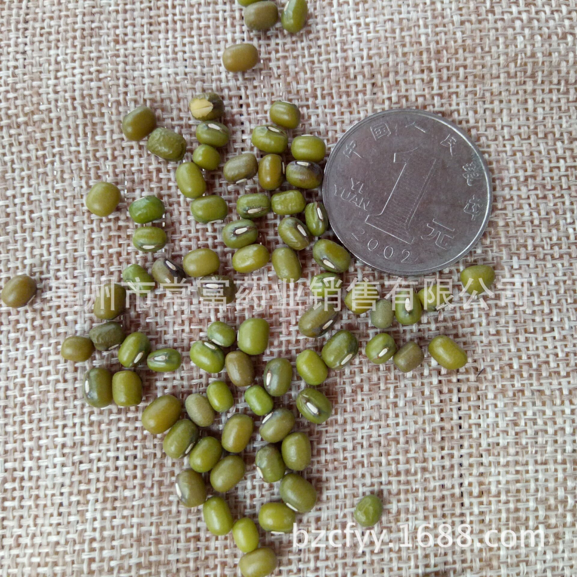 Mung Bean Lu Dou 500g Dried Whole Grains for Cooking Sprouting and Low Temperature Roasting - Image 2