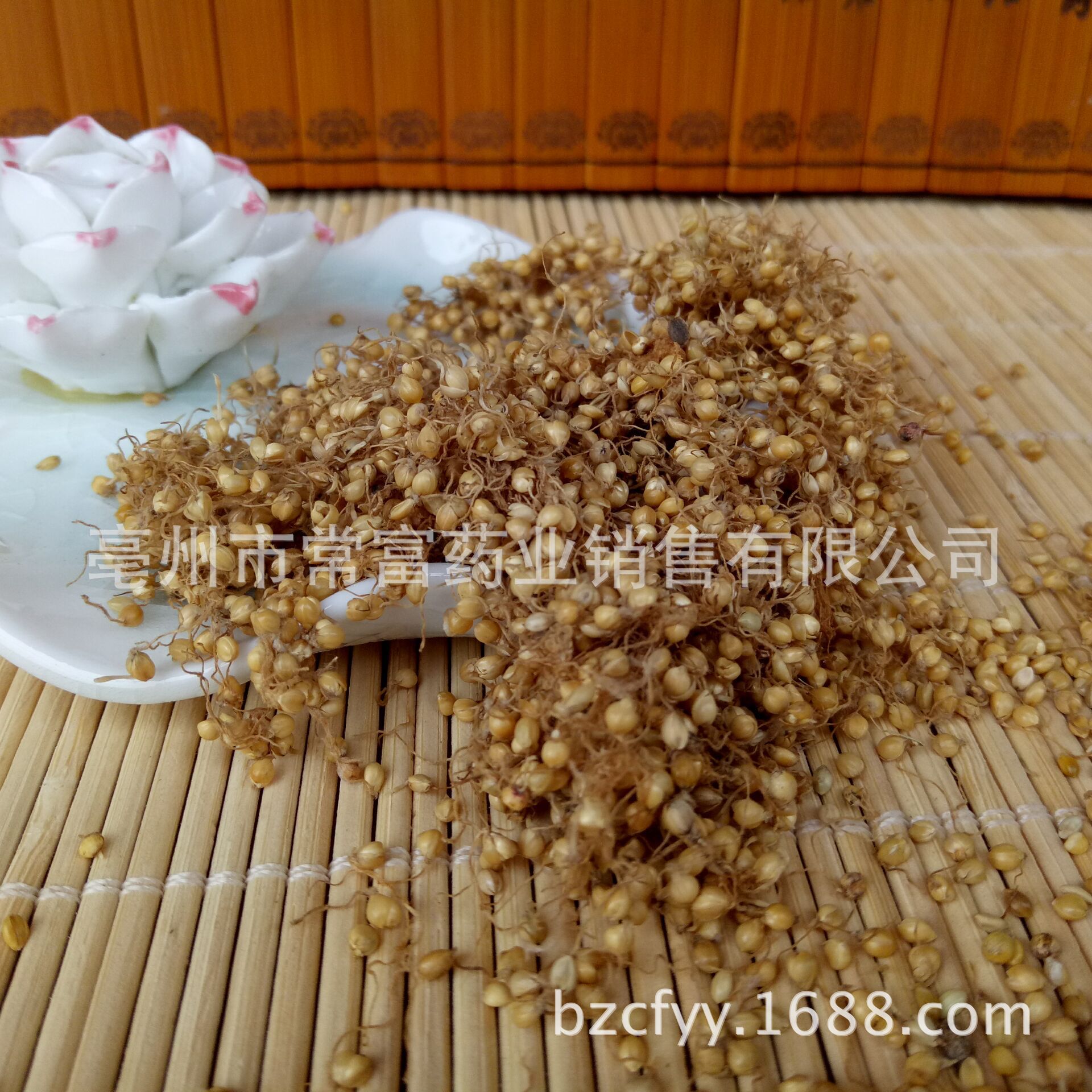 Dried Setaria Sprouted Grain Gu Ya 谷芽 Sprouted Millet Grain TCM Herbal Ingredient 500g - Image 3