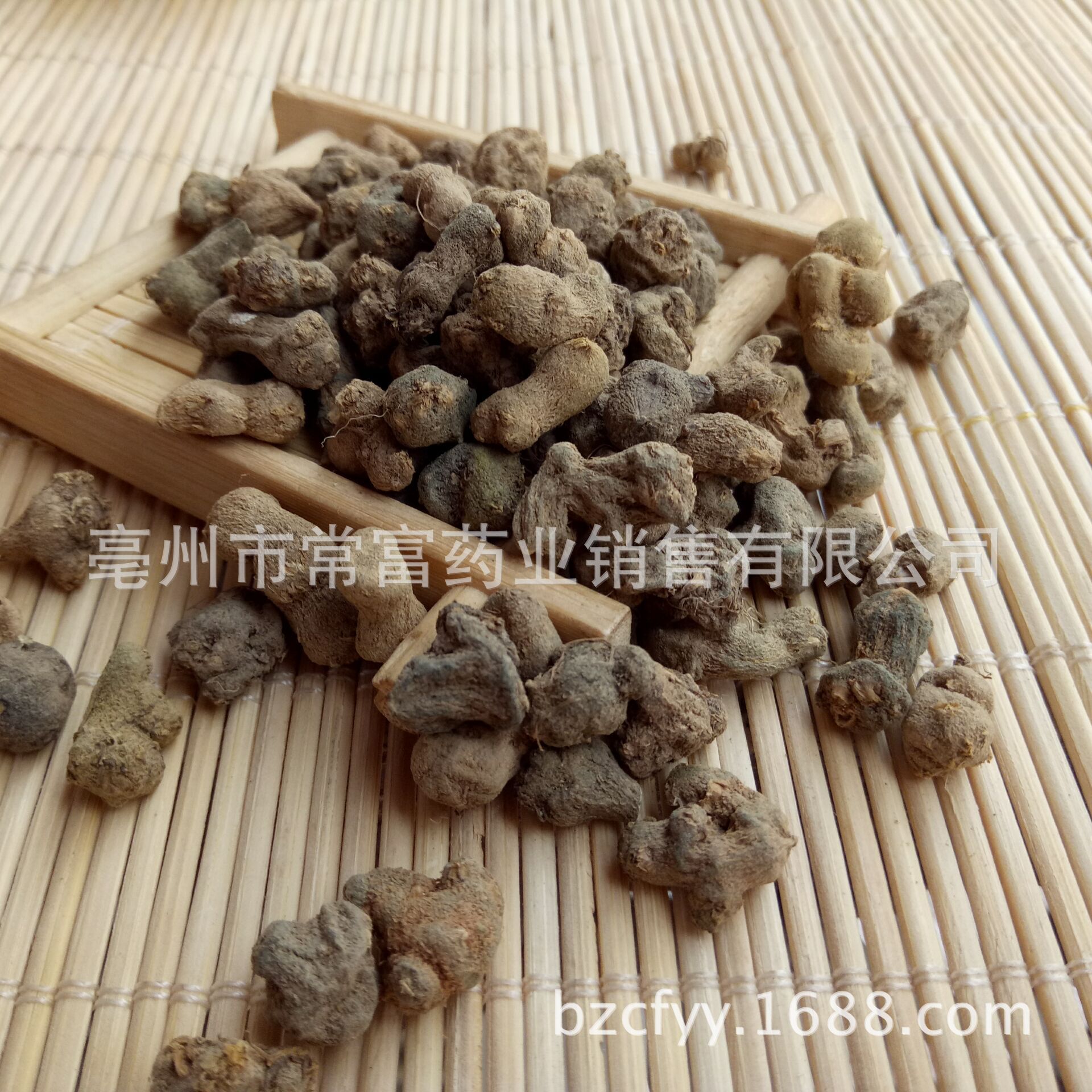Xia Tian Wu Dried Corydalis Decumbens Root 500g Traditional Chinese Herb for Decoction and Herbal Tea - Image 4