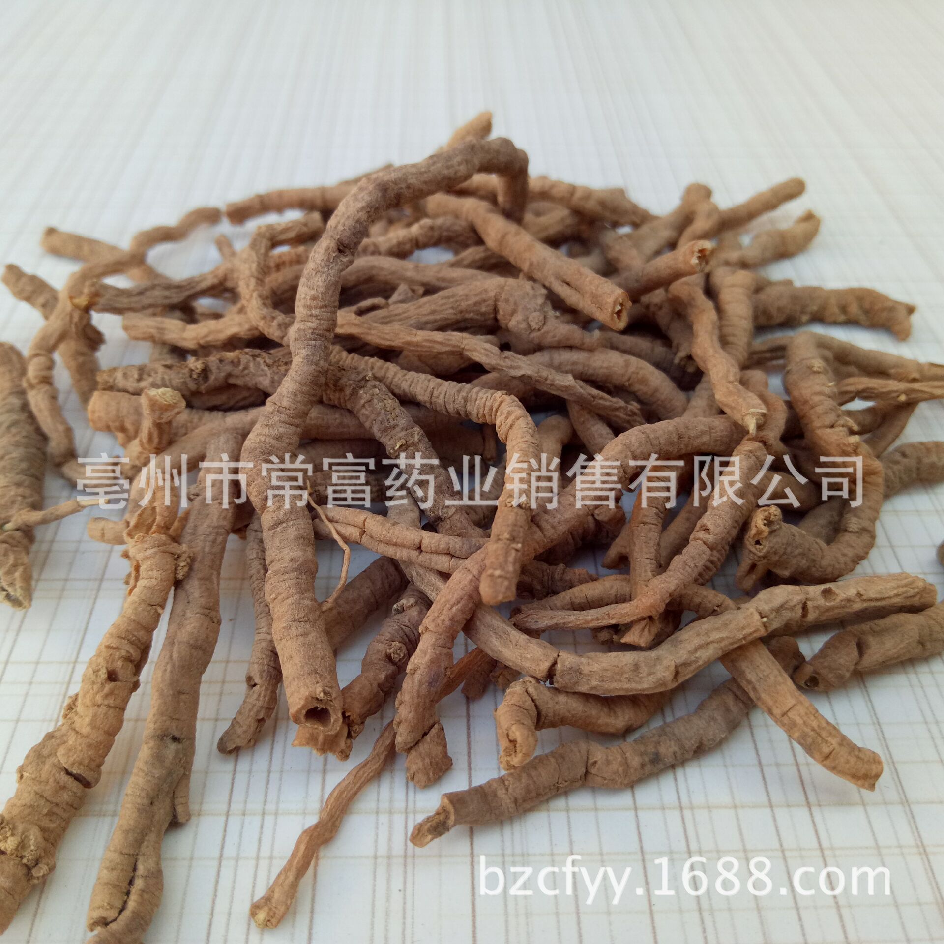 Polygala Root Yuan Zhi 远志 Dried TCM Herb 500g Shanxi Origin for Decoction and Culinary Use - Image 3