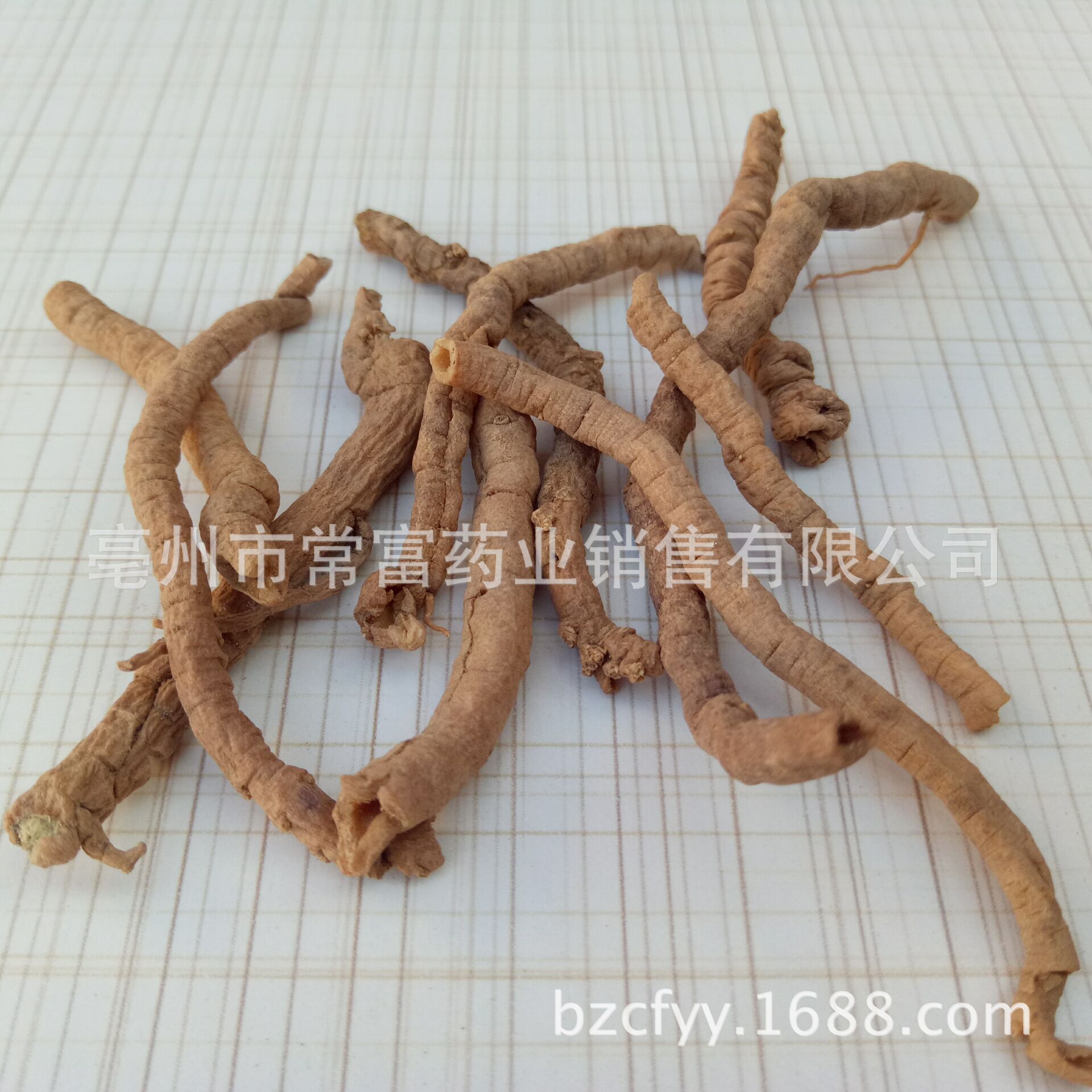 Polygala Root Yuan Zhi 远志 Dried TCM Herb 500g Shanxi Origin for Decoction and Culinary Use - Image 2