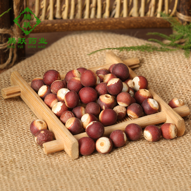 Dried Gorgon Fruit Qian Shi Euryale Ferox Seeds Whole Bulk 1kg Guangdong Origin - Image 3