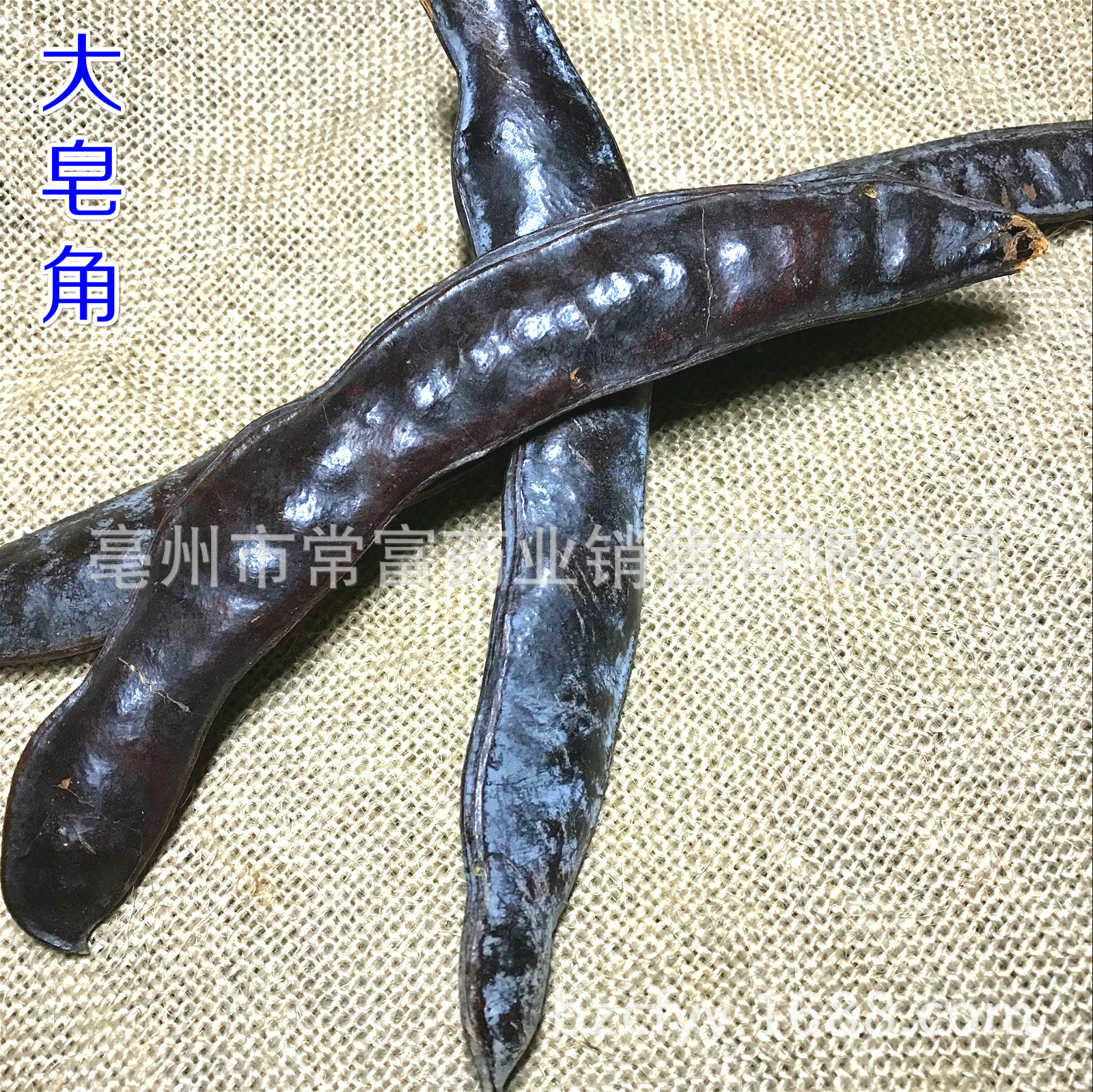 Chinese Herbal Hair Rinse Pack Ce Bai Ye Sang Ye Ku Ding Cha 15g Powder Bag Traditional Botanical Hair Wash - Image 3