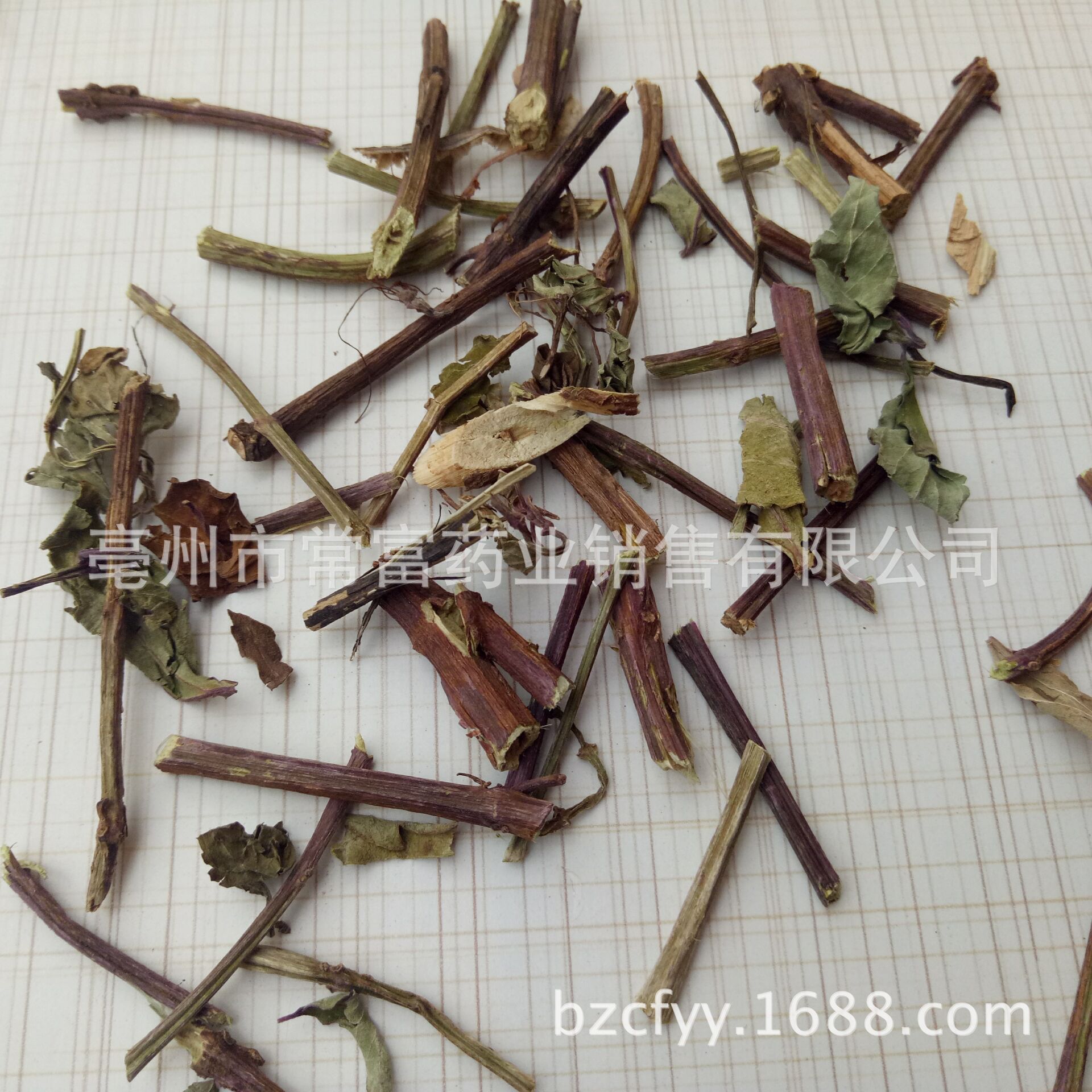 Mao Xu Cao Cat Whisker Herb Dried Orthosiphon Leaves 500g Traditional Herbal Tea Ingredient - Image 4